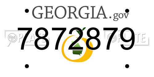 7872879 Georgia License Plate