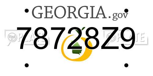 78728Z9 Georgia License Plate
