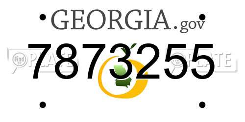 7873255 Georgia License Plate
