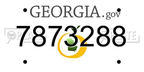 7873288 Georgia License Plate