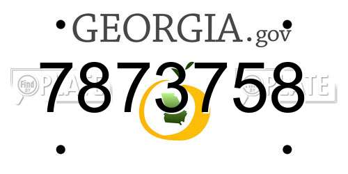 7873758 Georgia License Plate