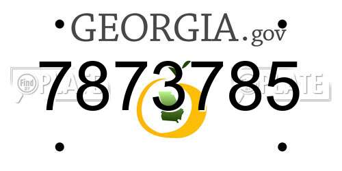 7873785 Georgia License Plate
