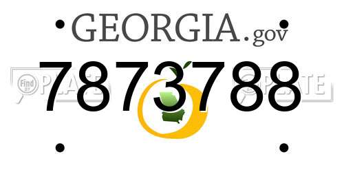 7873788 Georgia License Plate