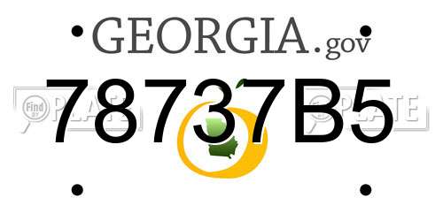 78737B5 Georgia License Plate