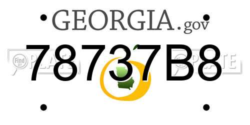 78737B8 Georgia License Plate
