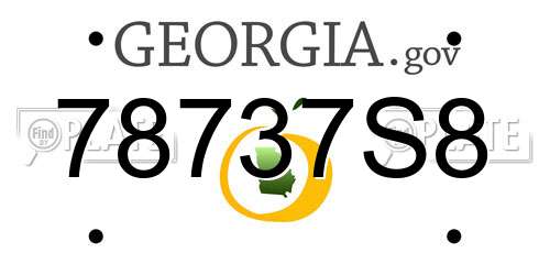 78737S8 Georgia License Plate