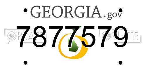 7877579 Georgia License Plate