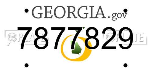 7877829 Georgia License Plate