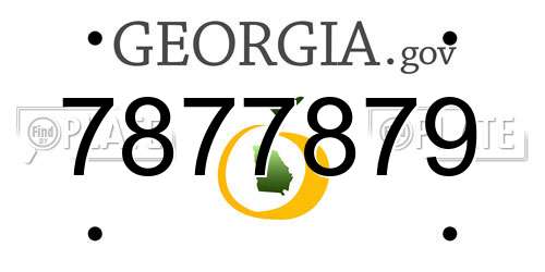 7877879 Georgia License Plate