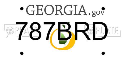 787BRD Georgia License Plate