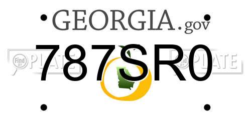 787SR0 Georgia License Plate
