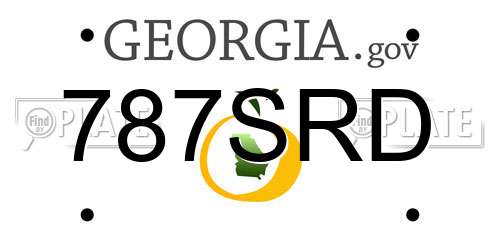 787SRD Georgia License Plate