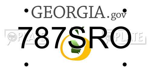 787SRO Georgia License Plate