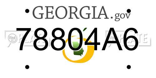 78804A6 Georgia License Plate