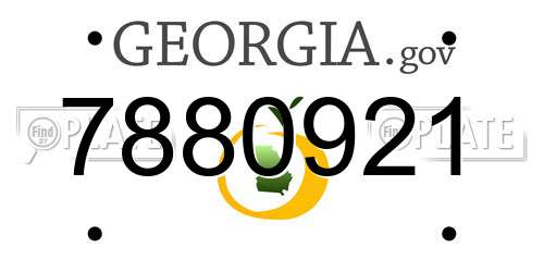 7880921 Georgia License Plate