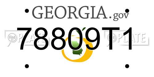 78809T1 Georgia License Plate