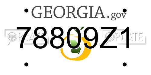 78809Z1 Georgia License Plate