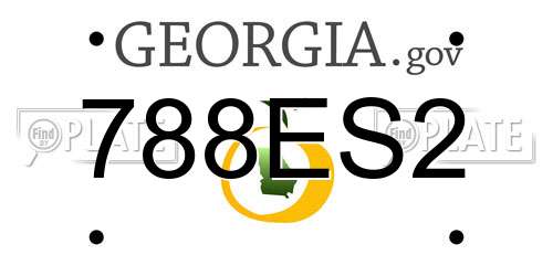 788ES2 Georgia License Plate
