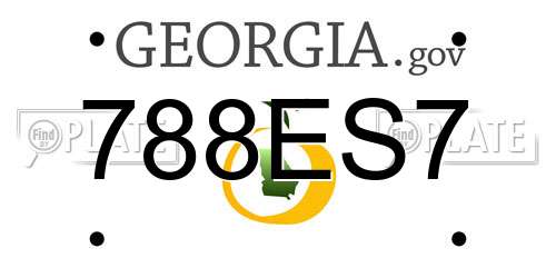 788ES7 Georgia License Plate