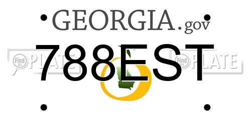 788EST Georgia License Plate