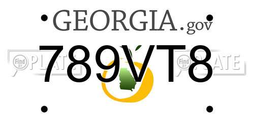 789VT8 Georgia License Plate