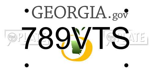 789VTS Georgia License Plate