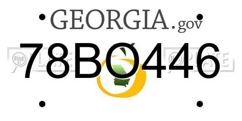 78BO446 Georgia License Plate