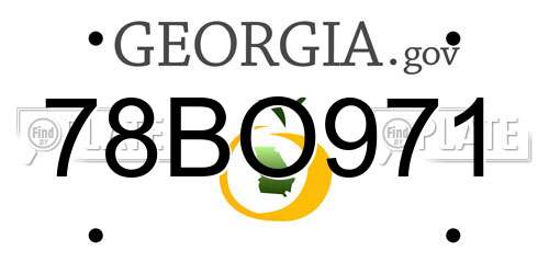 78BO971 Georgia License Plate