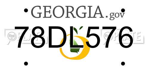 78DL576 Georgia License Plate