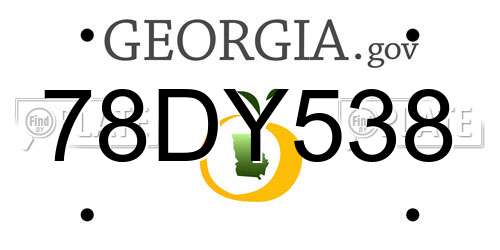 78DY538 Georgia License Plate