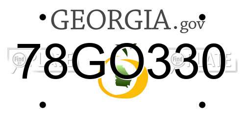 78GO330 Georgia License Plate