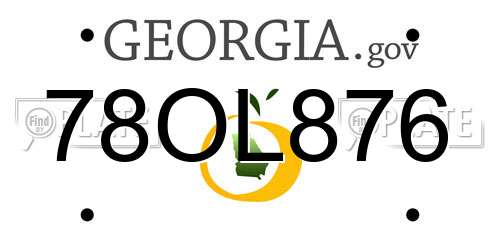 78OL876 Georgia License Plate