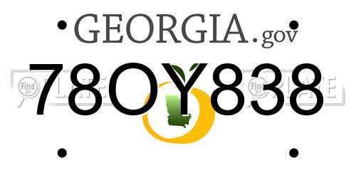 78OY838 Georgia License Plate