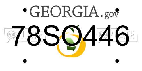 78SO446 Georgia License Plate