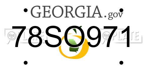 78SO971 Georgia License Plate