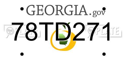 78TD271 Georgia License Plate
