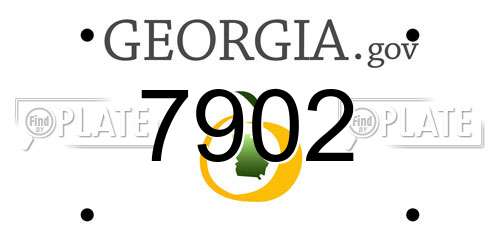 7902 Georgia License Plate