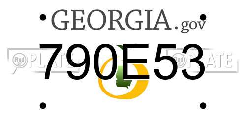 790E53 Georgia License Plate