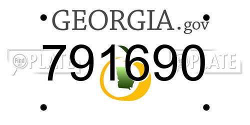 791690 Georgia License Plate