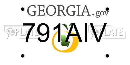 791AIV Georgia License Plate