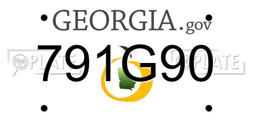 791G90 Georgia License Plate