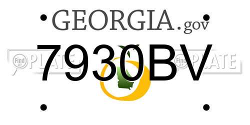 7930BV Georgia License Plate