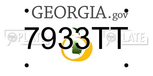 7933TT Georgia License Plate