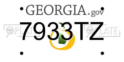 7933TZ Georgia License Plate