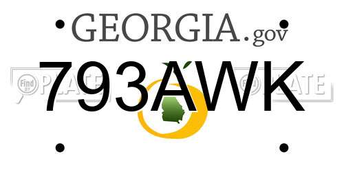 793AWK Georgia License Plate