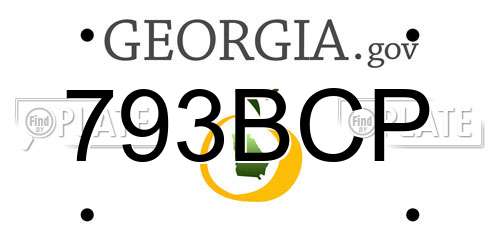 793BCP Georgia License Plate