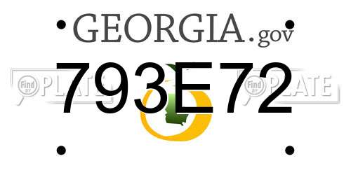 793E72 Georgia License Plate