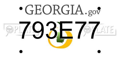 793E77 Georgia License Plate