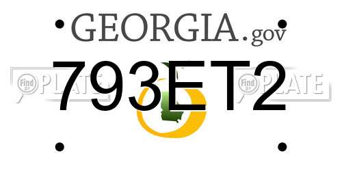 793ET2 Georgia License Plate