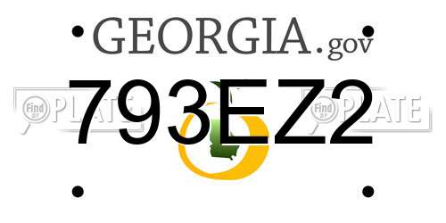 793EZ2 Georgia License Plate